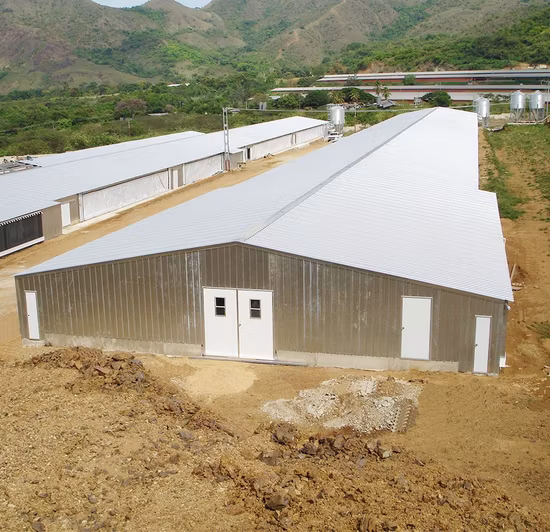 Armazém de Aço Leve Pré-fabricado Armazém Armazém Galpão Galpão Estrutura de Aço