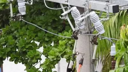 33kv 36kv 200A montado em poste Mv polimérico Recorte de fusível de saída